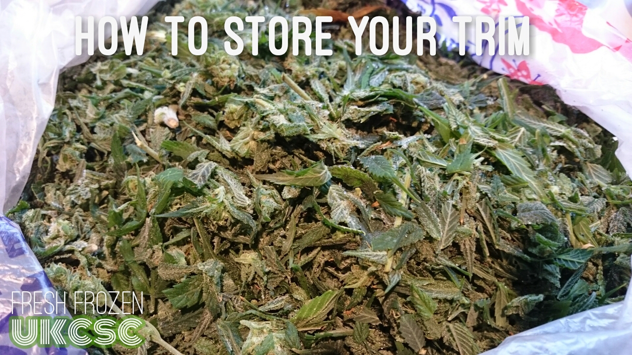 How To Store Your Cannabis Trim