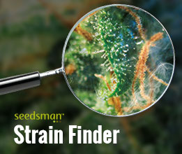 Seedsman Strain Finder